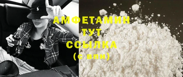 сатива Чита