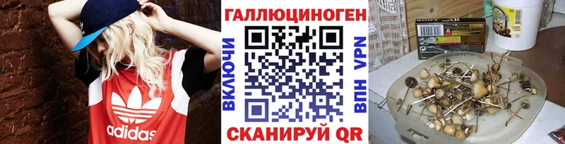 Галлюциногенные грибы MAGIC MUSHROOMS  Цивильск 